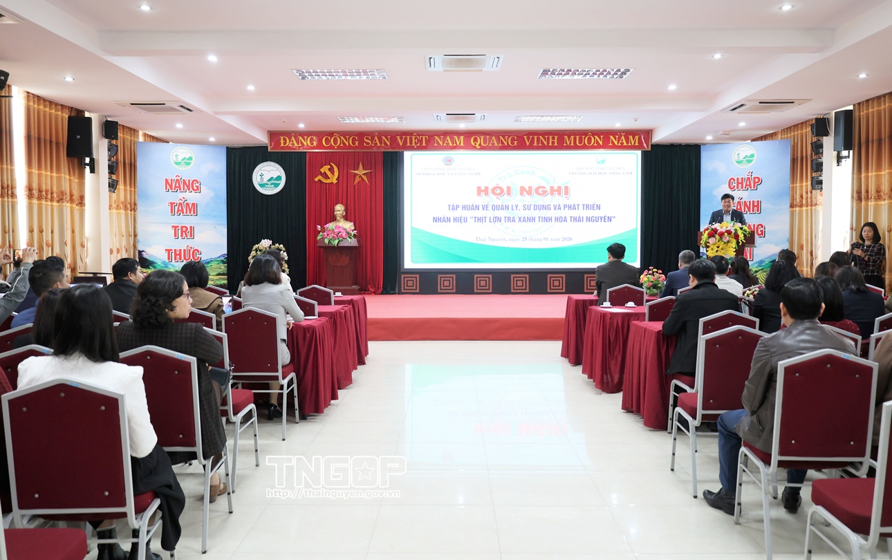 Tập huấn quản lý, sử dụng và phát triển nhãn hiệu “Thịt lợn trà xanh - Tinh hoa Thái Nguyên”